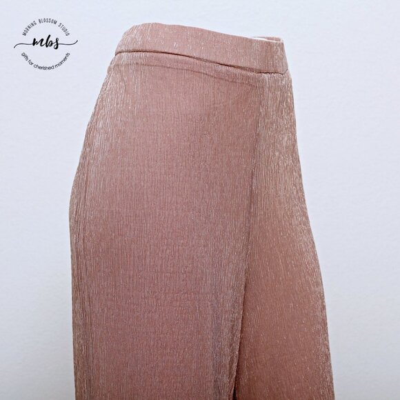 NWOT Skies Are Blue by Anthropologie Metallic Mesh High Rise Pants - Picture 6 of 11